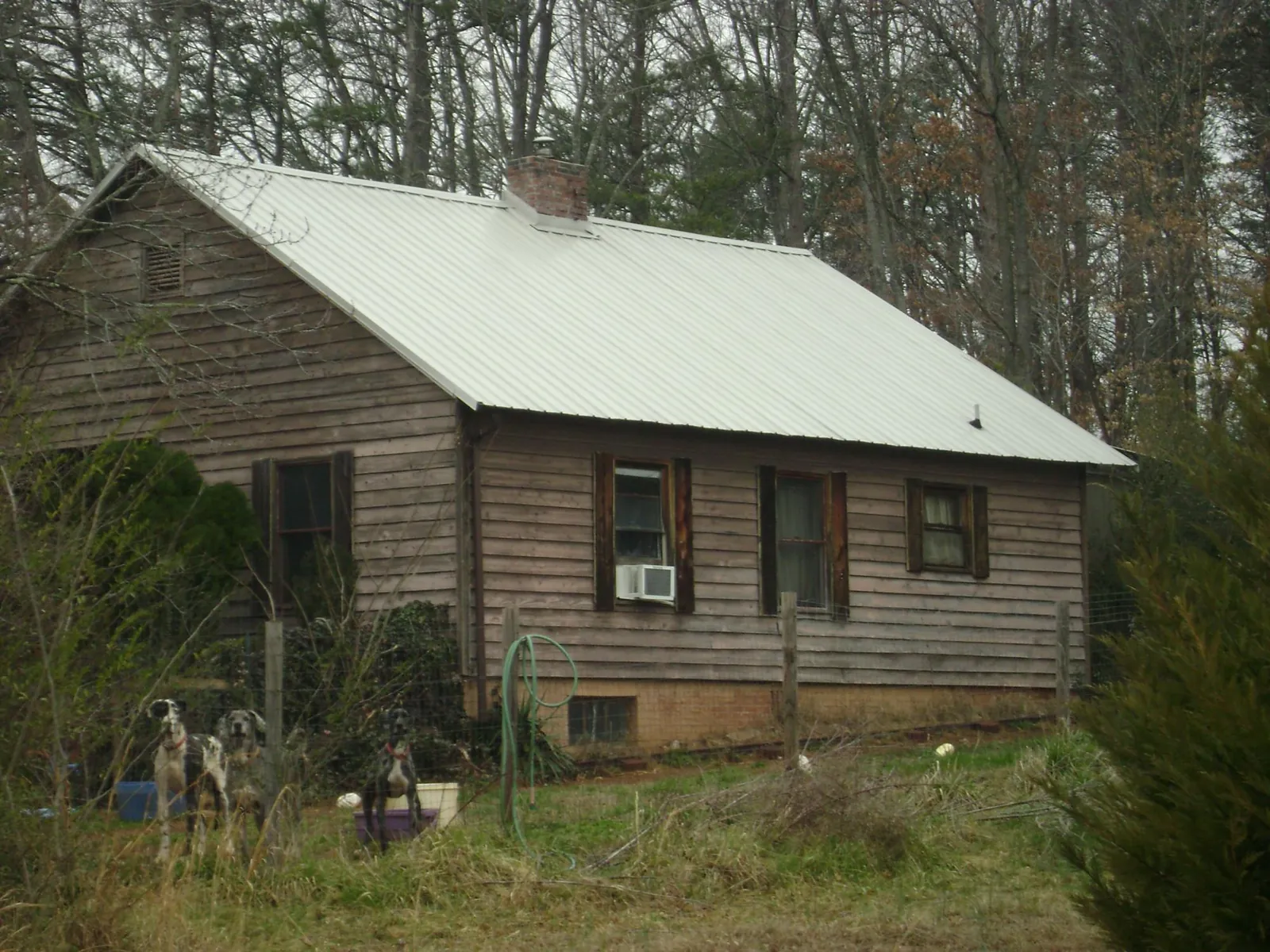 White metal roof on an old wood sided farmhouse in New Deal